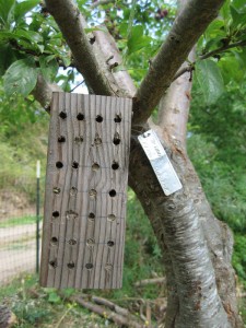 Make a bee house for Orchard Bees with a 4x4